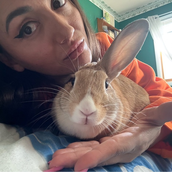 EASTER GIFT AWAY - BUY ANYTHING $10 or more and/or BUNNY 🐰🐰🐰 & ENTER TO WIN - Picture 15 of 16